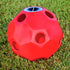 Burlingham Sports Slow Feed Hay Ball Toy Feeder